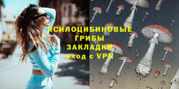 ПСИЛОЦИБИНОВЫЕ ГРИБЫ Балахна