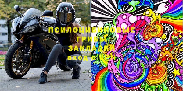 ПСИЛОЦИБИНОВЫЕ ГРИБЫ Балахна