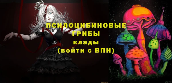 ПСИЛОЦИБИНОВЫЕ ГРИБЫ Балахна